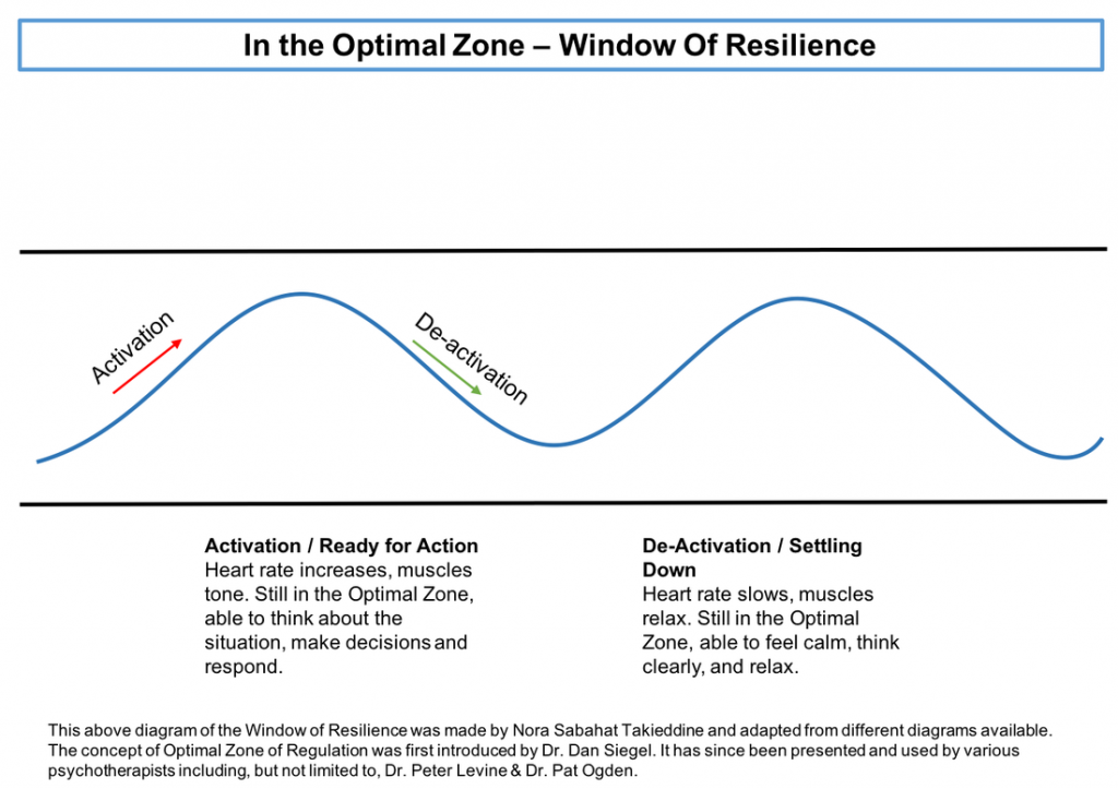 Zone of Resilience